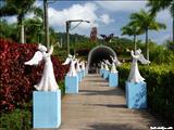 Jardín Botánico de Caguas - CAGUAS